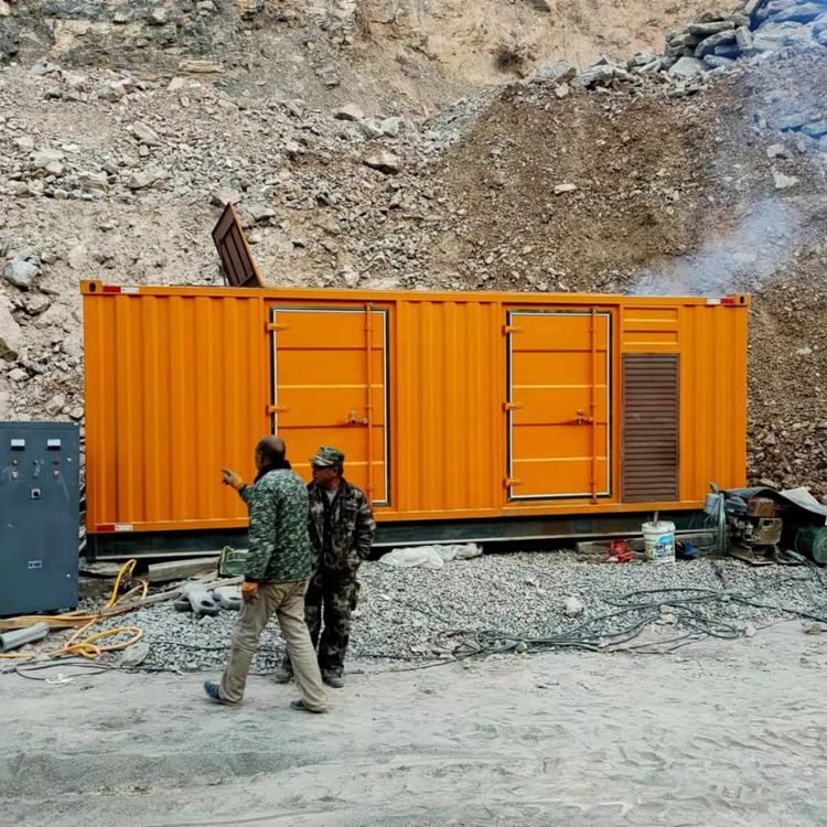 仙居如何选择适合自己的 800KW 柴油发电机组?